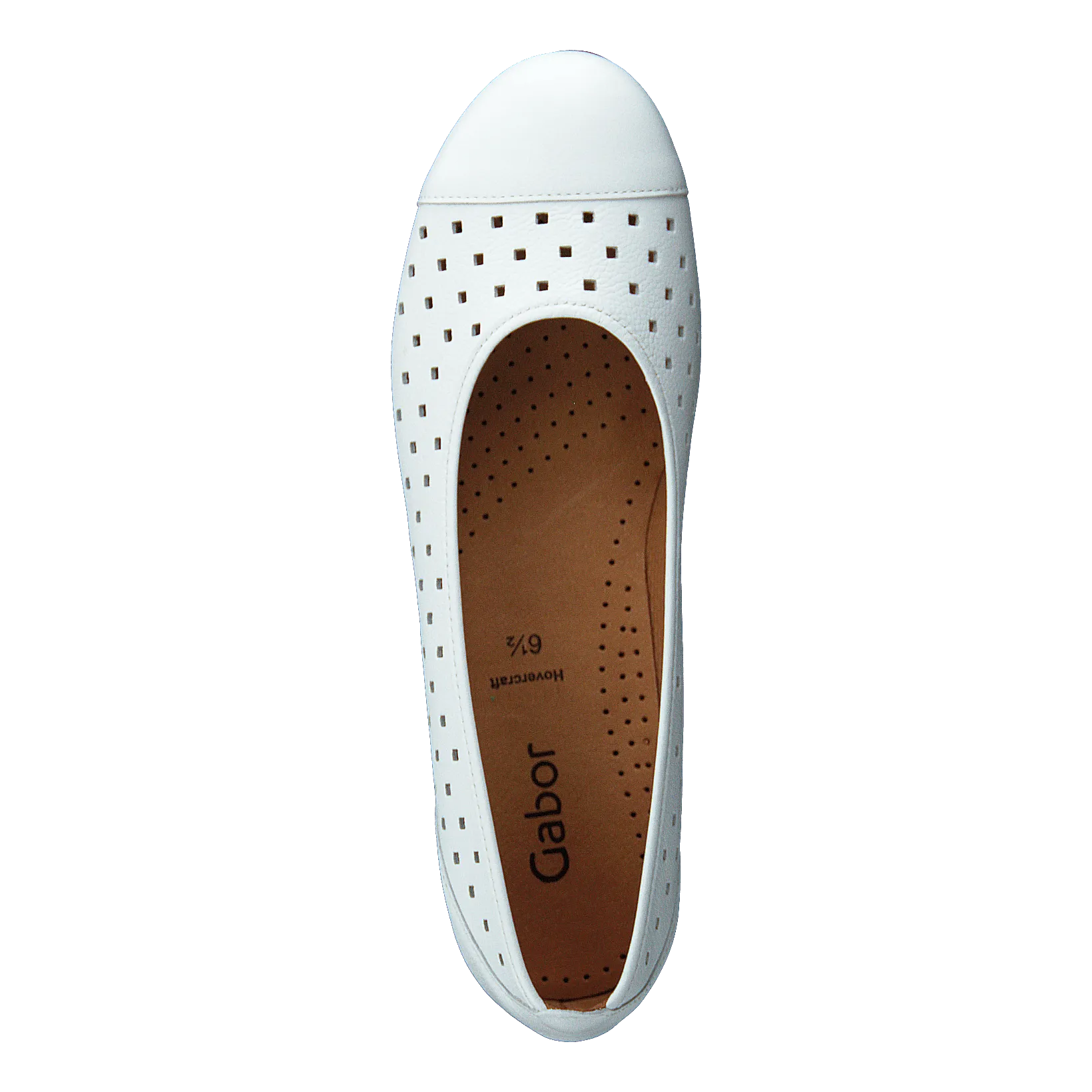 44.169.21 White
