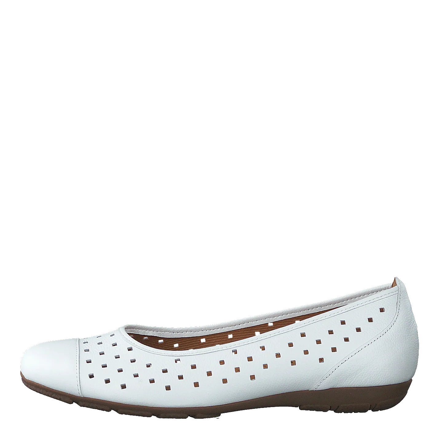 44.169.21 White