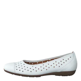 44.169.21 White