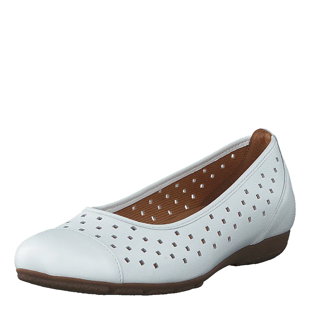 44.169.21 White