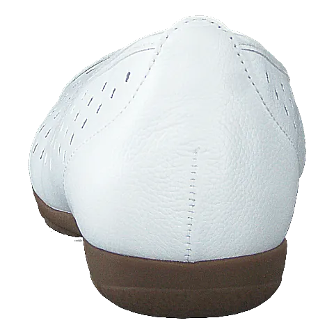 44.169.21 White