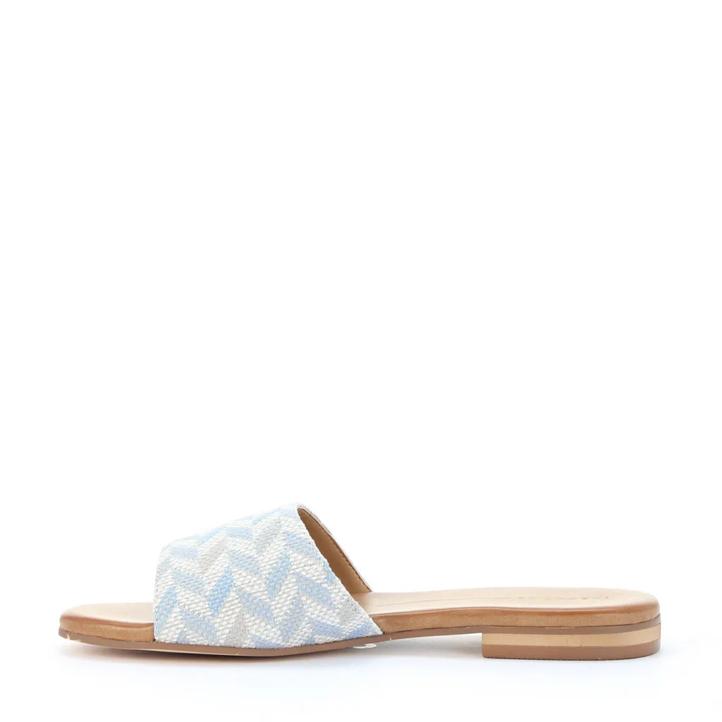 Mini Slides