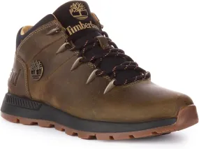Timberland Men's Hiking Shoes